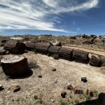 2023OTRA_751 (May 07, 2023)